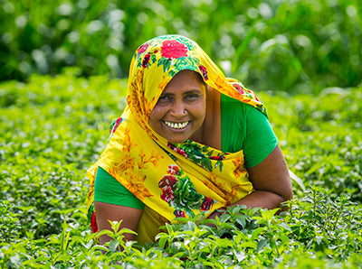 A farmer with Dr. Bronner's regenerative mint supplier in India